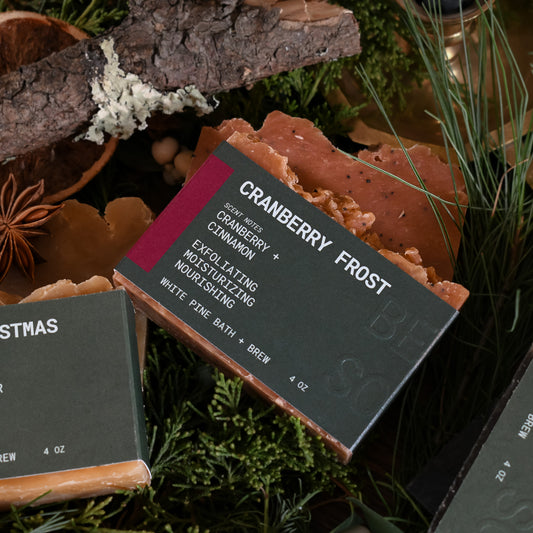 Holiday Beer Soap Bundle
