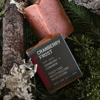Cranberry Frost Mini Beer Soap