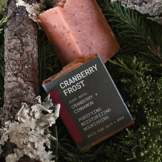 Cranberry Frost Mini Beer Soap